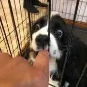 つぶちゃんの画像