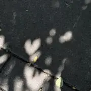 イッチの画像