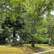 R.の画像