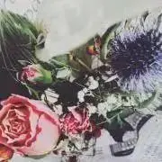 M プロフ必読の画像