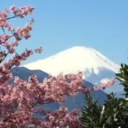 プロフィール一読のお願い/サブちゃんの画像