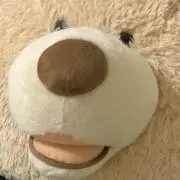 金太郎
