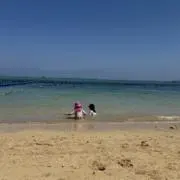 Umm※プロフ必読願いますの画像