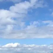 birdy_の画像