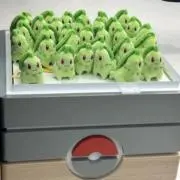 akaの画像