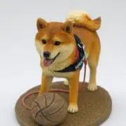 hi.assyの画像
