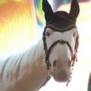 ねるの画像