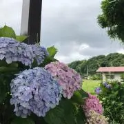 あおきしゅんた