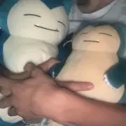 いの画像