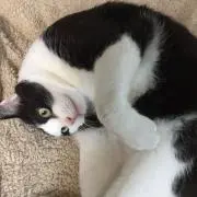 幸太郎