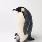 ぺんぎんの画像