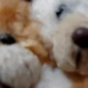 ひろの画像