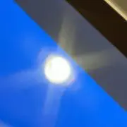 ふぇの画像