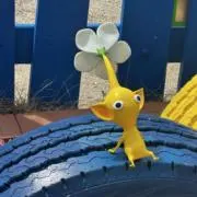 ミルルの画像