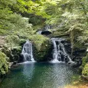 Satoの画像