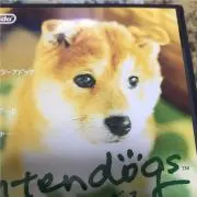 ゆっしー   ☆プロフ必読☆