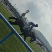 アリスの画像