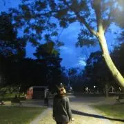 ぽらの画像