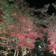 ちゃんこ鍋の画像