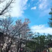 とり