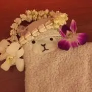 アウラニ限定】ベッドカバー ディズニー ハワイアンキルト - メルカリ