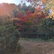 はねはね プロフ御一読くださいの画像