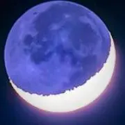 ゆりの画像