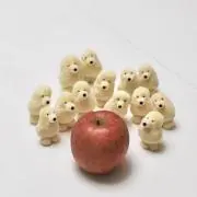 ropupu