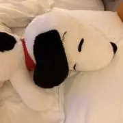 ちゃすの画像