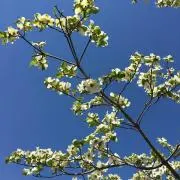ゆかの画像