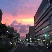 ちびこの画像