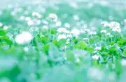 週末セール‼️期間限定❤フォロー割実施中の画像