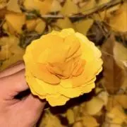 ニコニコちゃんの画像