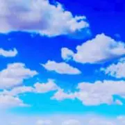 カーショウの画像