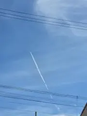 あおいそらの画像