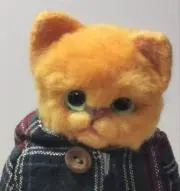 ahiruの画像