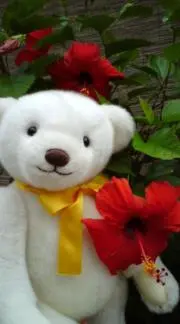 みかんの画像