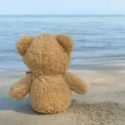 Sandy Bearの画像