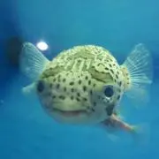 Hiro883の画像