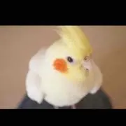 ゆっき