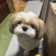 吉村祐亮の画像