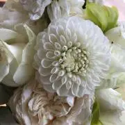 えりーの画像