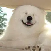 購入前にコメントください‪☺︎︎の画像