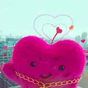 cocoの画像