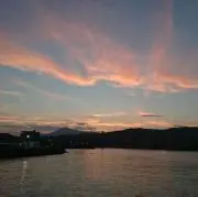 ほなねの画像