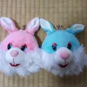 澤田まやの画像