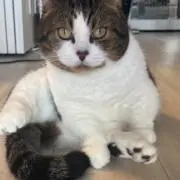 ゆき