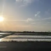 h.@7日まで発送できません