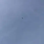 おかずの画像