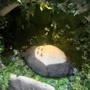 みさんがの画像